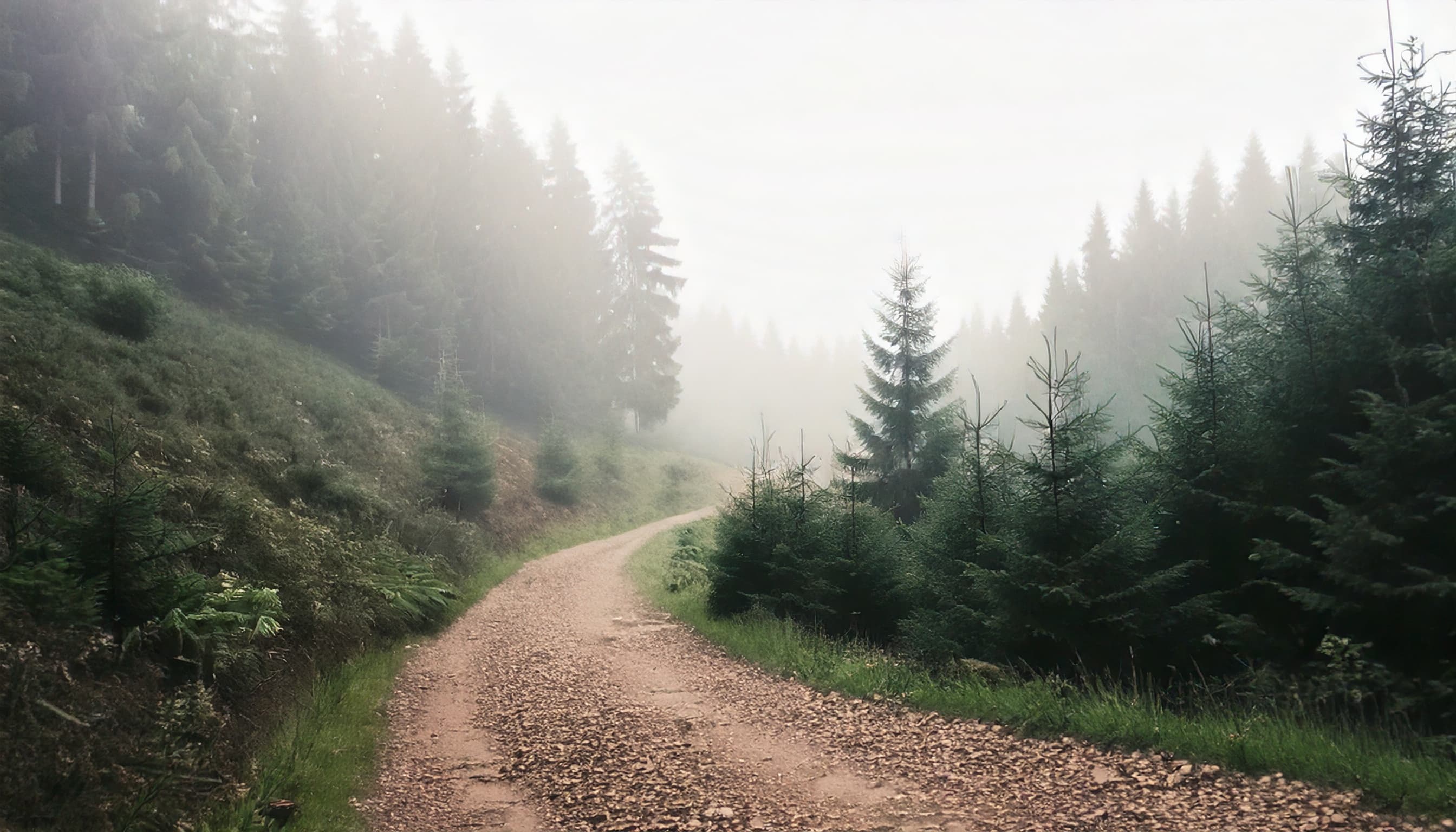 Dirt running path